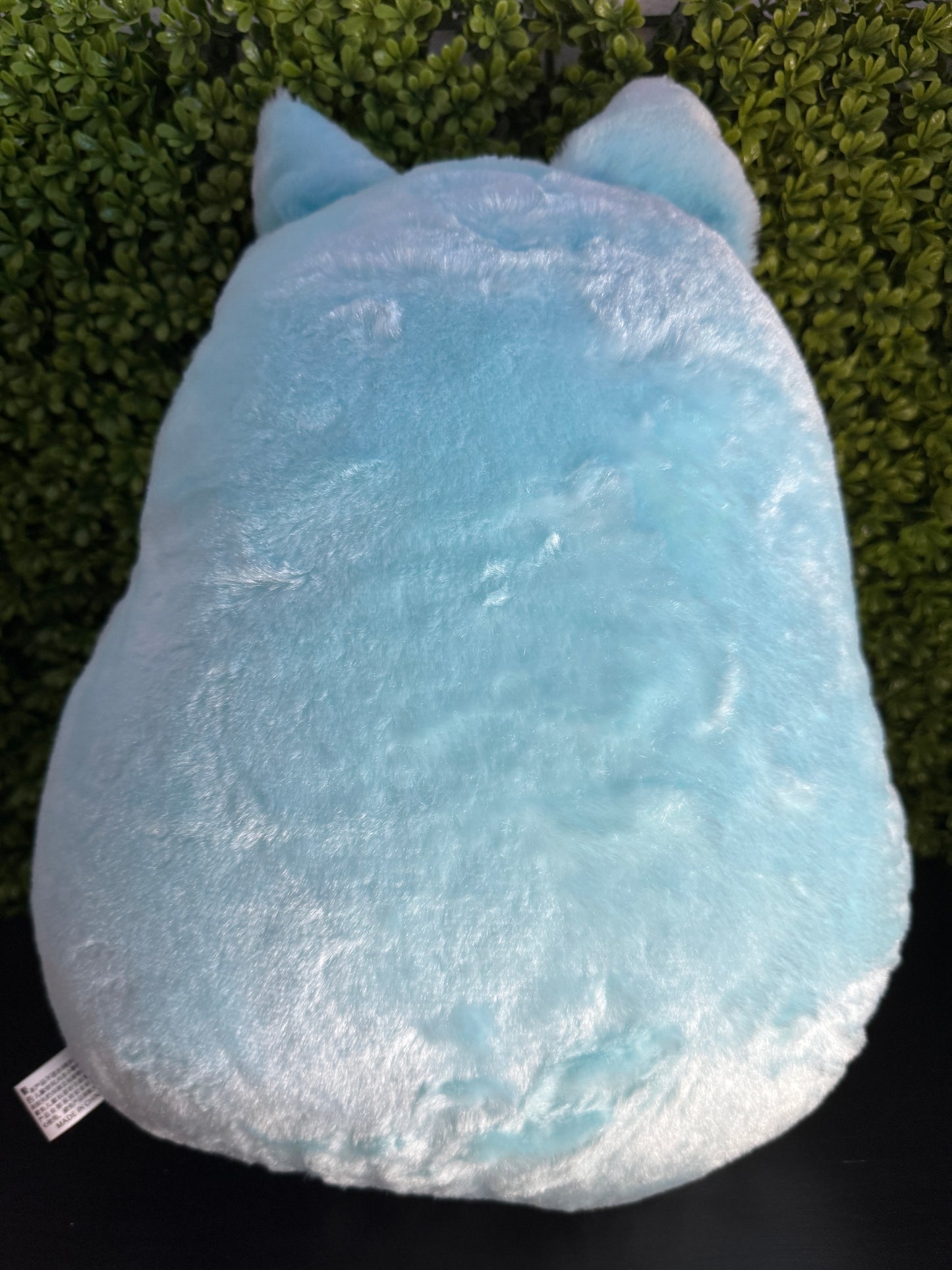 Totoro Plush